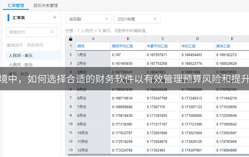 在复杂的市场环境中，如何选择合适的财务软件以有效管理预算风险和提升资金流动效率？