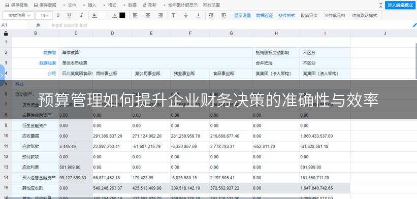预算管理如何提升企业财务决策的准确性与效率