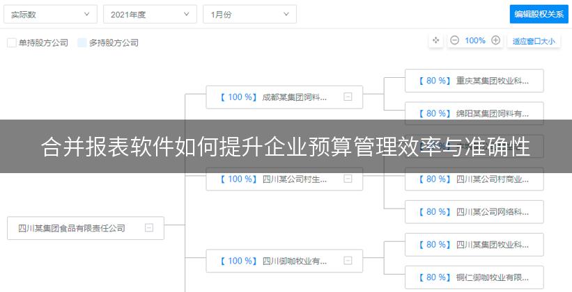 合并报表软件如何提升企业预算管理效率与准确性