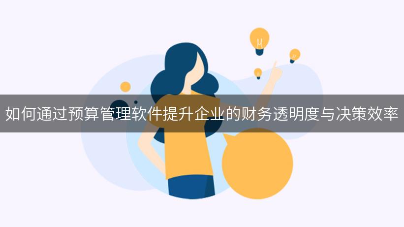 如何通过预算管理软件提升企业的财务透明度与决策效率