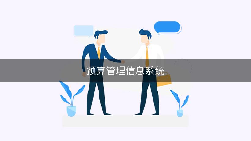 预算管理信息系统