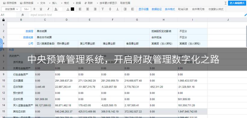 中央预算管理系统，开启财政管理数字化之路