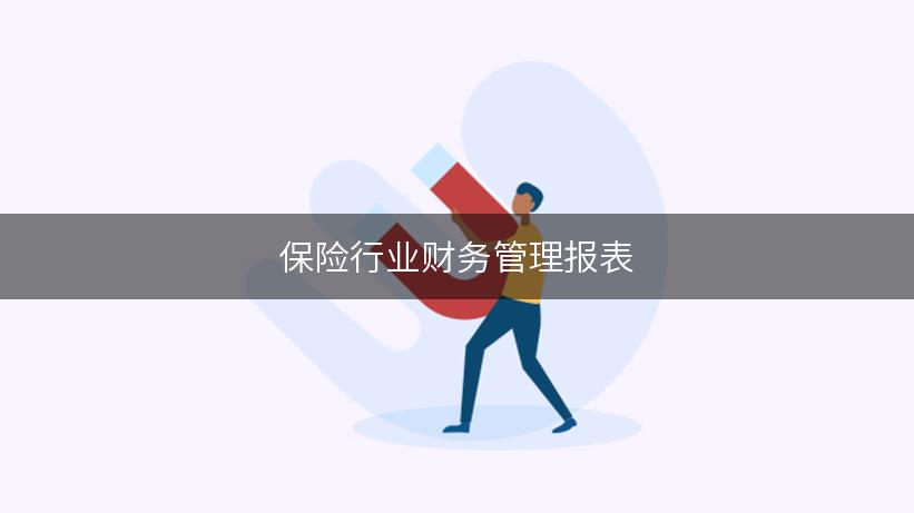 保险行业财务管理报表