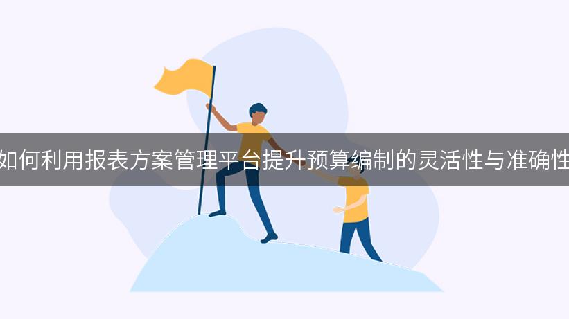 如何利用报表方案管理平台提升预算编制的灵活性与准确性